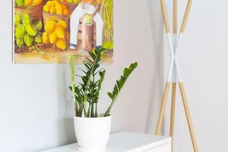 El Atico De David Y Deisy